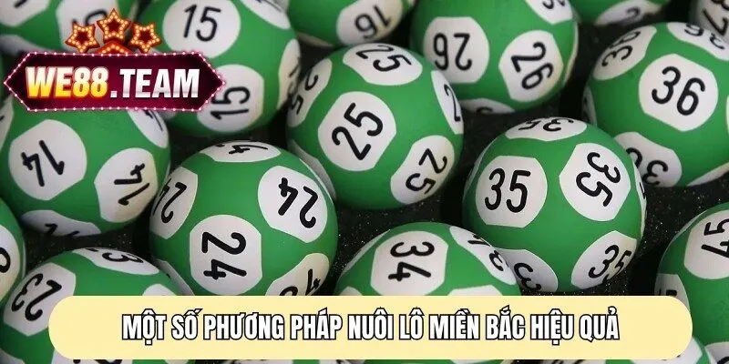Một số phương pháp nuôi lô miền Bắc hiệu quả Một số phương pháp nuôi lô miền Bắc hiệu quả