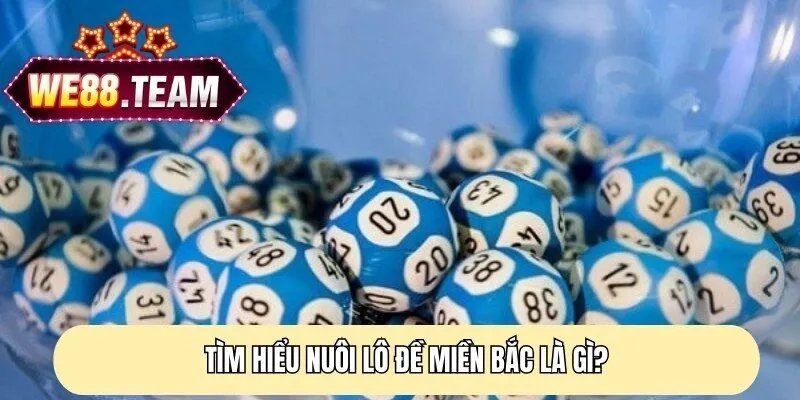 Tìm hiểu nuôi lô đề miền Bắc là gì? Tìm hiểu nuôi lô đề miền Bắc là gì?